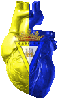 Avatar de Usuario